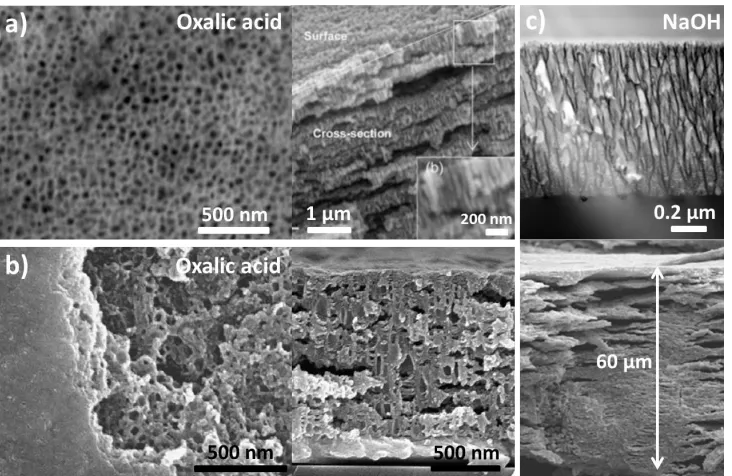 Figure B.7 a) SEM images of porous anodic tin oxide layers prepared a) by Shin et al. in a 0.5 M oxalic acid solution at room temperature [189], b) in 0.3 M oxalic acid at 5 ºC and by applying a potential of 5 V as reported by Jeun and coworkers [175], and
