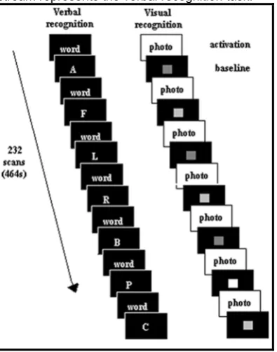Fig. 1 The experiment design. The left stream represents the visual recognition task. The right stream represents the verbal recognition task