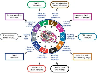 Figure 6. Therapeutic Targeting of the Hallmarks of Cancer