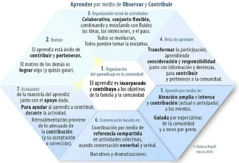 Figura 2: Prisma que define los aspectos del Aprendizaje por medio de observar y contribuir 