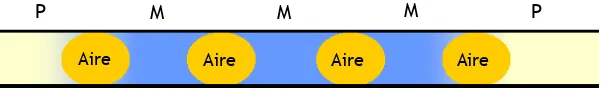 Fig. 2. Modelo de muestreo en el sistema CFA. P: portador; M: muestra.