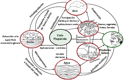 Figura 1.1  Distribución de los plaguicidas en el medio ambiente (Kailasa, 2013). 