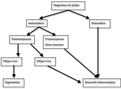 Fig. 32.Esquema diagnostico terapéutico del pólipo endometrial