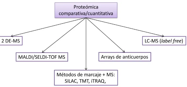 Figura 6: Metodologías proteómicas más utilizadas para el estudio del ictus (adaptado de [107]