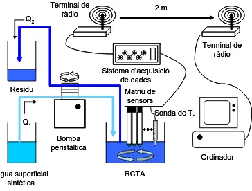 Figura 4.18 Representació de les concentracions trobades per la llengua electrònica pels cinc ions considerats: amoni, potassi, sodi, clorur i nitrat, en el RCTA durant les primeres 24 hores de monitoratge