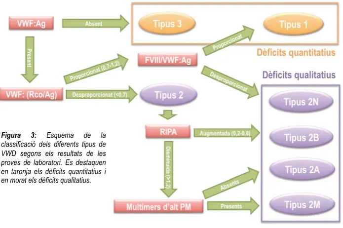 Figura classificació dels diferents tipus de 