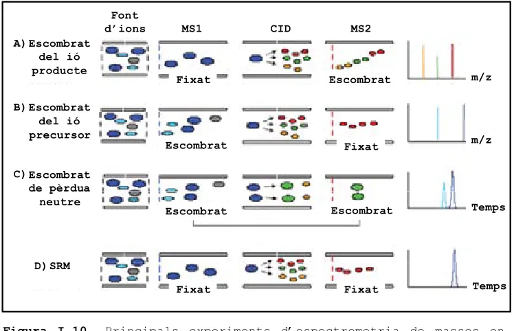 Figura I.10.  Principals experiments d’espectrometria de masses en tàndem. Adaptada de l’article (Domon and Aebersold 2006) 