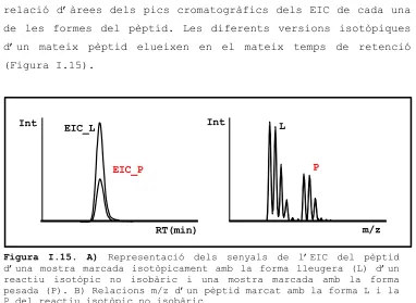 Figura I.15. A) d’una mostra marcada isotòpicament amb la forma lleugera (L) d’un reactiu isotòpic no isobàric i una mostra marcada amb la forma 