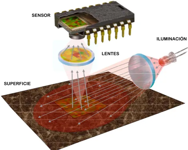 Fig. 1.4. Esquema básico de funcionamiento del sensor de flujo óptico. 