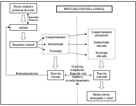 Figura 2.1  Respuesta animal al estrés térmico (Adaptado de Curtis, 1983). 