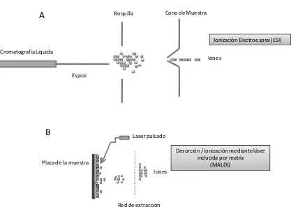 Figura  