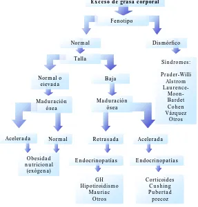 Figura 1.1 Diagnóstico diferencial de las obesidades 