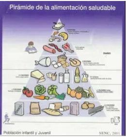 Figura 1.2 Pirámide de la alimentación saludable 