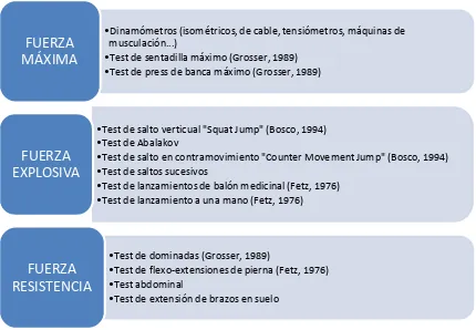 Figura 7. Test específicos de valoración en función del tipo de fuerza. 