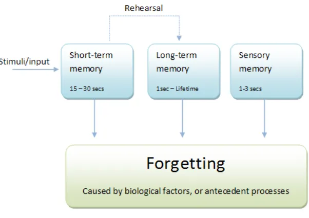 Figure 4.1 Atkinson and Shiffrin model of human memory [Atkinson & Shiffrin, 1968]. 