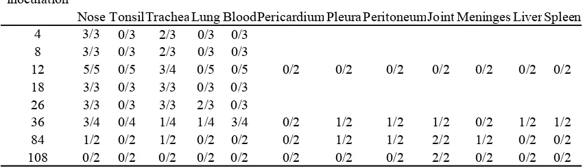 Table 1. Bacterial findings in pigs inoculated with a pericardium isolate of (VahleH. parasuis {Adapted from  et al., 1995; Vahle et al., 1997)}