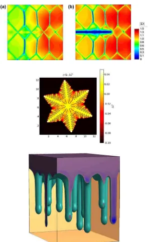 Figure 1.2: Phase-ﬁeld applications. Top: evolution of fracture in ferroelectric singlecrystal [4]