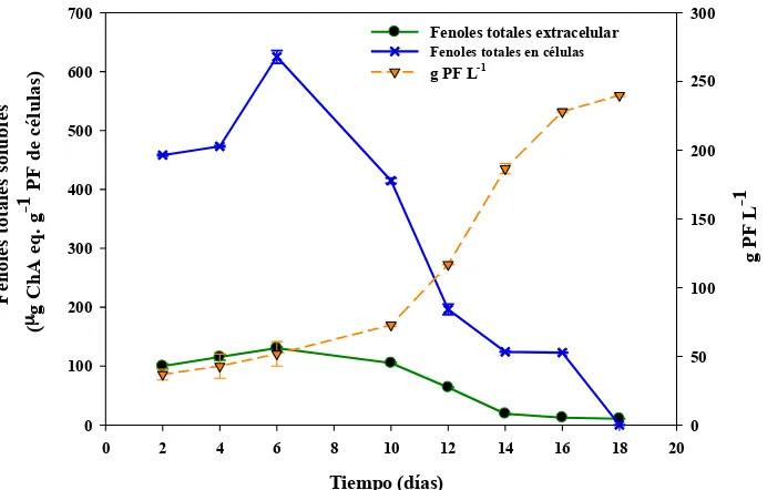 Figura 4.3. Evolución del contenido de fenoles solubles totales (expresado como !g 