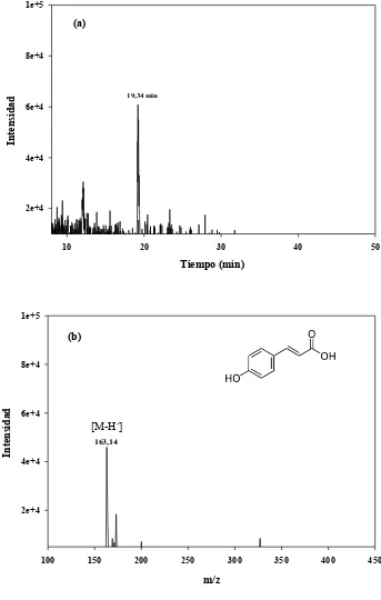 Figura 4.5. (a) Cromatograma extraído a partir de m/z 163,14 [M-H-], basado en HPLC-MS