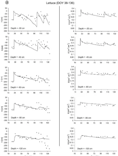 Figure 4.6: Pressure head and water content data (dots) measured at various depths in the soil  profile, along with HYDRUS predictions (solid lines) for: a) lettuce (DOY 38-136), b) lettuce 