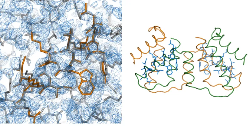 Figure 4.16: Left: PRD2 density map surrounding the deposited coordinates and the superposedtwo model helices with side-chains that allowed the ﬁnal solution