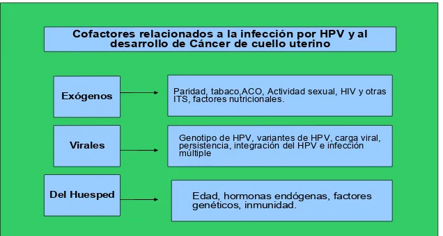 Figura 7. Esquema cofactores relacionados al desarrollo de cáncer de cuello uterino. 