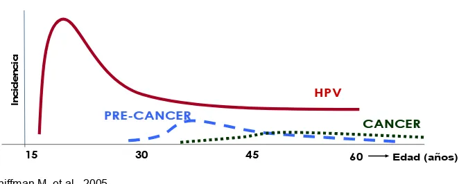 Figura 8. Incidencia  de infección por HPV y de cáncer cervical según edad. 