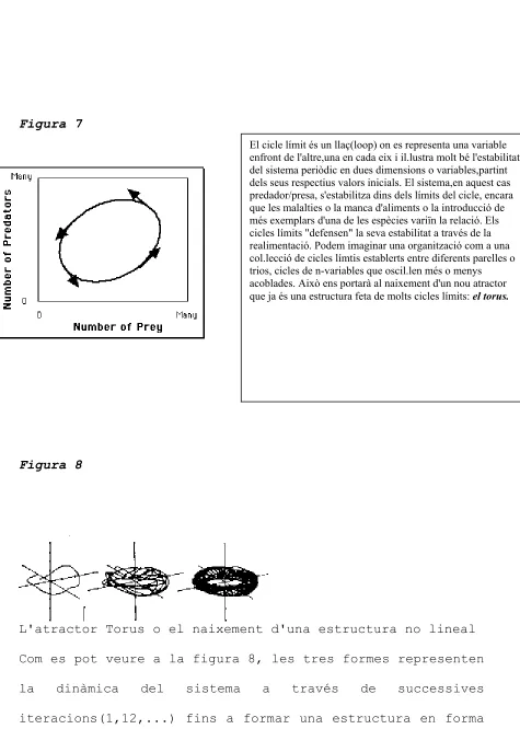 Figura 7 