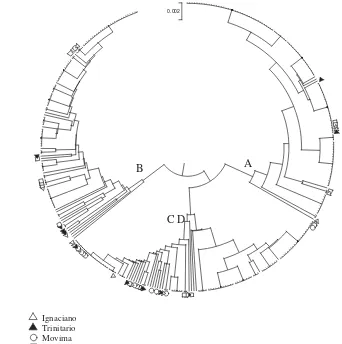 Figure 4.UPGMA tree showing the locations of the sequences reported in this study within a sampleof South Amerindian sequences available in the literature.