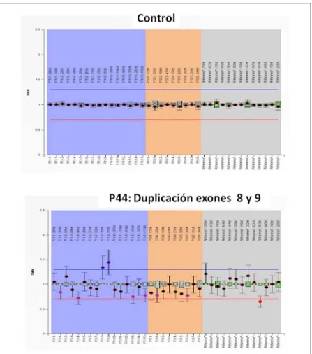 Figura 21. Detección mediante MLPA de la duplicación de los exones 8 y 9 del F11 en heterocigosis en el paciente P44