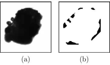 Figure 5.2: CNN-UM algorithm measuring the roughness of an object pro-posed in [84].