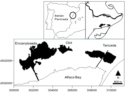 Figure 2. Map showing the Ebro Delta location in Iberian Peninsula (top) and the three coastal lagoons  studied in this PhD thesis (bottom)