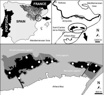 Figure 1. Location of the study area and map of the three lagoons with the sampling points for gillnets and fyke nets (white circles)