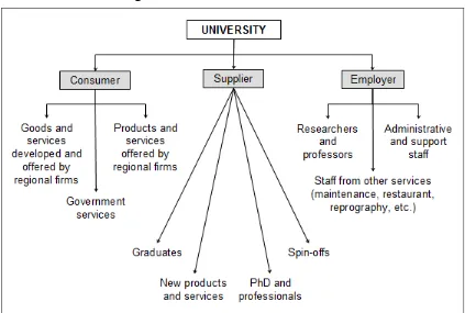 Figure 2.3. Economic role of universities.6