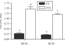Figure 4 Relative mRNA expression ofATP1A1sheep BCB selected oocytes. Different letters (a, b) indicate signiﬁcantdifferences ( S100A10, CPEB, COX1 and transcripts before (0 h) and after IVM (24 h) of prepubertalP!0.05: one-way ANOVA with Tukey’s multiplecomparison post-test to compare the four groups of each gene).