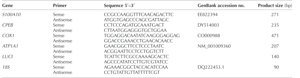 Table 5 Oligonucleotide primer sequences used in this study.