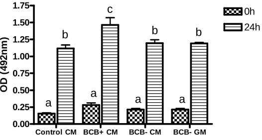 Figure 1. MPF activity in Control and BCB+ oocytes matured in Conventional Medium (Control CM and 