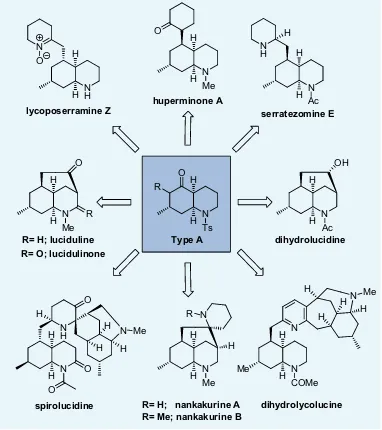 Figure 2.3. Lycopodium alkaloids with type A stereochemistry potentially accessible via building 