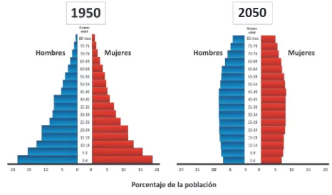 Figura 3: Crecimiento de la población por grupos de edad a través de los años, expresado como tasa por 100.000 habitantes