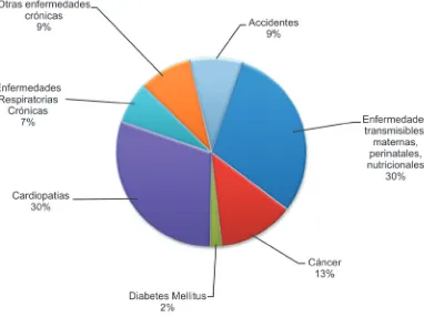 Figura 5: Distribución de las principales causas de mortalidad por grupos de enfermeda-des, de un total de 58 millones de muertes para el 200519.