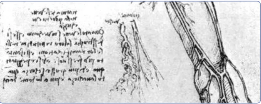 Figura 1: Dibujo y anotaciones realizadas por Leonardo Da Vinci (1506) bajo la cabecera “Na-turaleza de los vasos en la juventud y en el envejecimiento”
