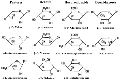 Figure 1.2. Formulas of the sugar components of polyoses [44]. 