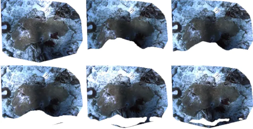 Figure 3.4: Projected texture mapping on the referenceWe can observe in each image that only the common areas on the seabed seen from both camera images from diﬀerent neighboring images.positions (neighboring image and reference image) are only projected on the reference image plane.