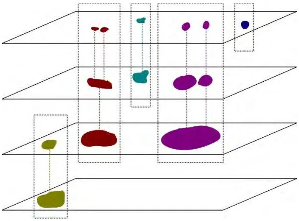 Figure 2.2: Example of the connectivity in the wavelet scales. Adjacent signiﬁcant coeﬃ-