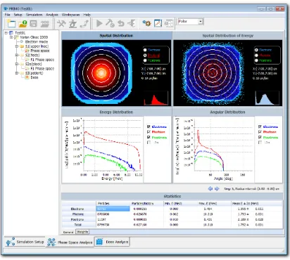 Figure 4.26: Phase space analysis window showing the results of an analysis made in rings
