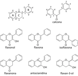 Fig. 1.2 Estructura general dels flavonoides i de les principals classes presents en aliments