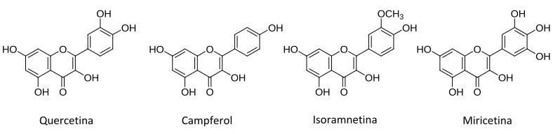 Fig. 1.3 Flavonols més abundants en els aliments. 