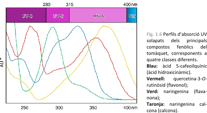 Fig. 1.6 Perfils d’absorció UV 