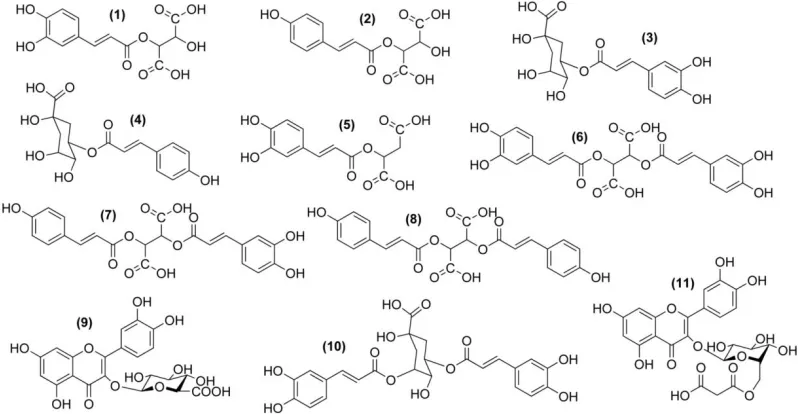 Table 2.2 Recurrent fragment ions yielded in MSn experiments 