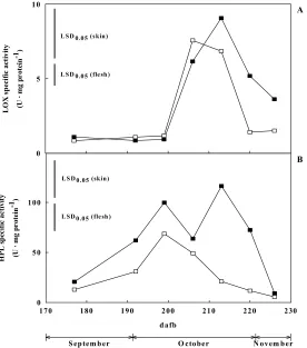 Figure 5. Lipoxygenase (top) and hydroperoxide lyase (bottom) specific activities in skin (■) and flesh (□) of ‘Pink Lady’ apples at different sampling dates